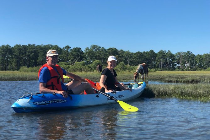 Guided Kayak Tour to see ponies, birds, dolphins and more - Starting at Chincoteague Island at 8:30 a.m.