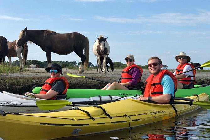 Guided Kayak Tour to see ponies, birds, dolphins and more - Bailey and the value of a small group