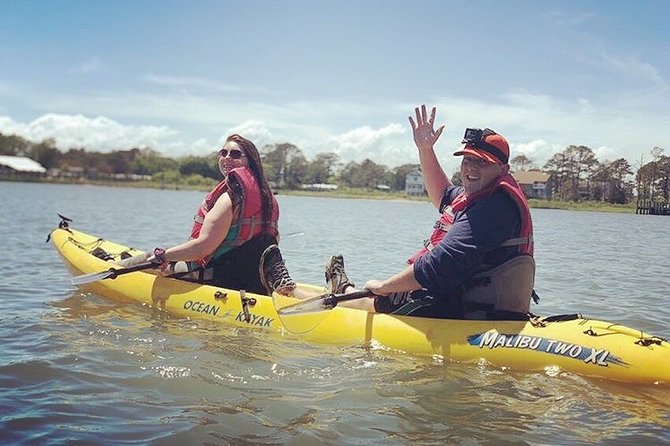 Guided Kayak Tour to see ponies, birds, dolphins and more - How strenuous is the two to three hour paddle?