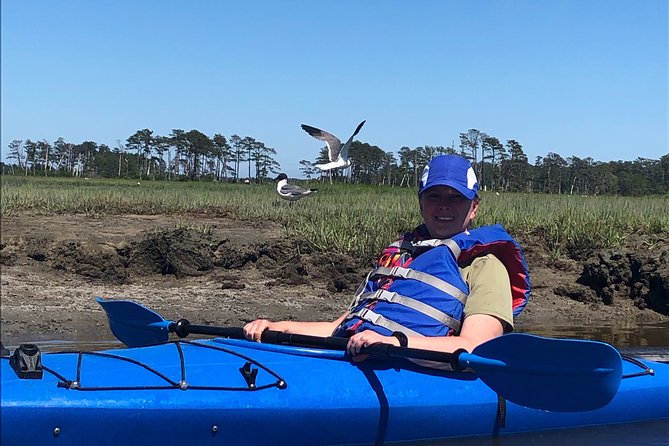 Guided Kayak Tour to see ponies, birds, dolphins and more - Weather, tides, and the outdoor gamble