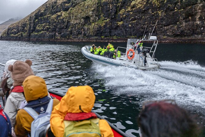 Guided Puffin Safari Boat Tour - Skarðsáfossur and the First Puffin Possibility