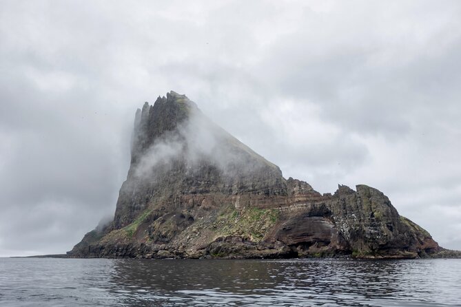 Guided Puffin Safari Boat Tour - Guide, Crew, and Group Size