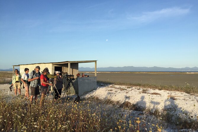 Guided Tour at Pukorokoro Shorebird Centre - Walking through the Robert Findlay Wildlife Reserve