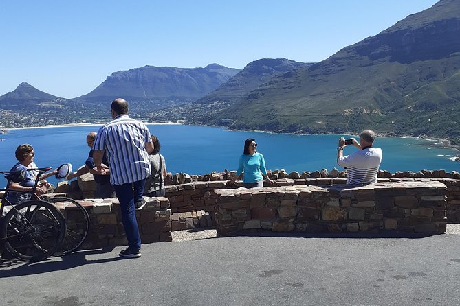 Half day African Penguin Tour - From Bo-Kaap toward Bantry Bay