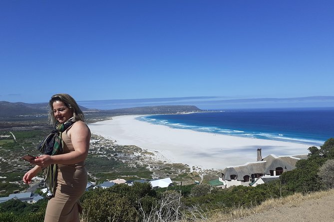 Half day African Penguin Tour - Meeting African penguins at Boulders Beach