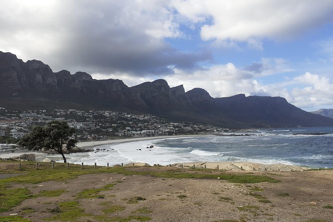 Half day African Penguin Tour - Simon’s Town, Kalk Bay, and Muizenberg