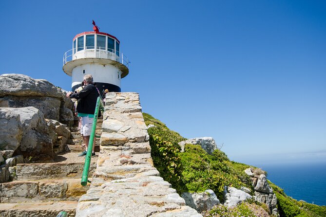 Half day am or pm Boulders Beach & Penguins with visit to Cape Point Great tour - Morning or afternoon: which departure suits you?