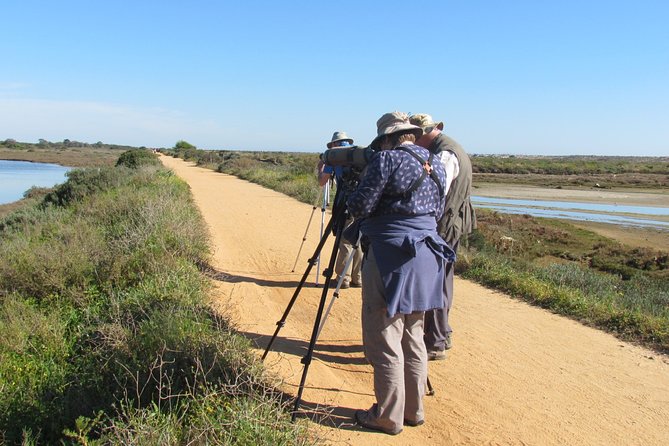 Half-day birdwatching around Tavira - Key points at a glance