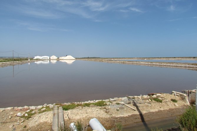 Half-day birdwatching around Tavira - Walking among the saltpans near Praia de Cabana
