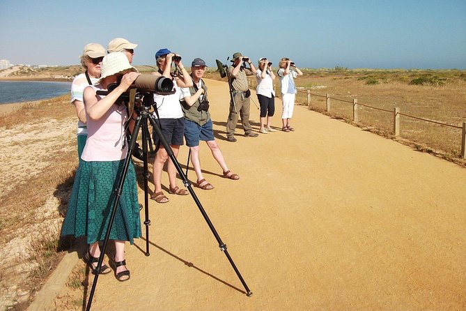 Half-day birdwatching at Alvor dunes - Key things to know before you go