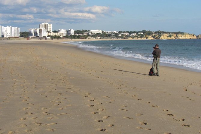 Half-day birdwatching at Alvor dunes - Is $50.93 a fair price?
