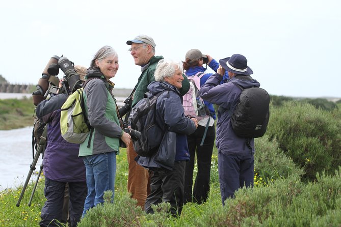 Half-day birdwatching at the Abicada marshed - Why this wetland morning is worth your time
