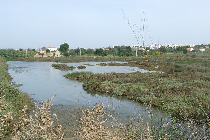 Half-day birdwatching at the Abicada marshed - The 7:00 am start sets the tone