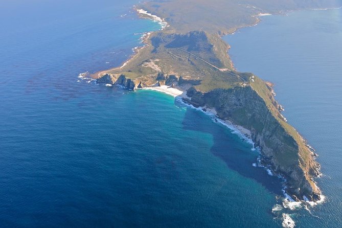 Half day Cape Point Sightseeing Tour with Penguins from Cape Town - Guides can make or break a short tour