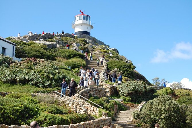 Half day Cape Point Sightseeing Tour with Penguins from Cape Town - Chapmans Peak and the Hout Bay drive