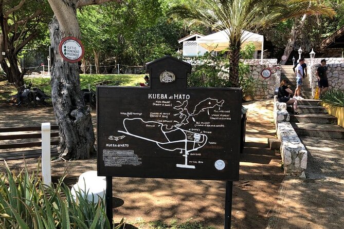 Half Day Hato Cave, Flamingo & Beach Tour - What the four-hour plan feels like