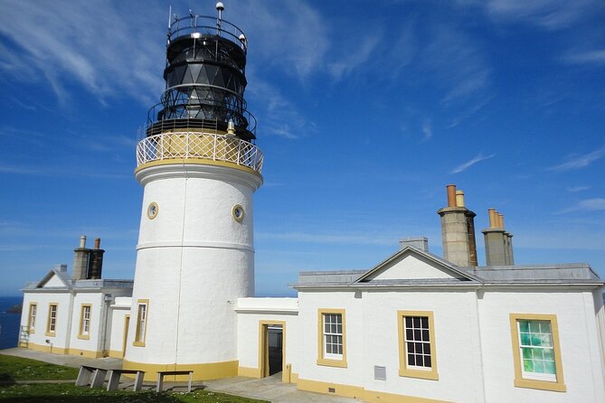 Half Day Private Tour with Puffins, Ponies and Past Shetland - Five things to know before you book
