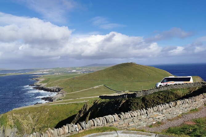 Half Day Private Tour with Puffins, Ponies and Past Shetland - Carol’s Ponies brings the breed to life