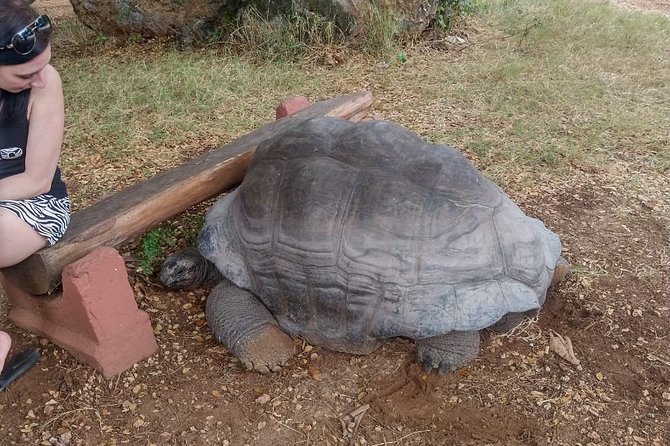 Haller Park Tour observing hippos, giraffes, birds, monkeys, crocs & others - Key points to know before you book