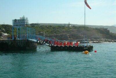 Hermanus Whale Watching & Penguins Shared Tour from Cape Town