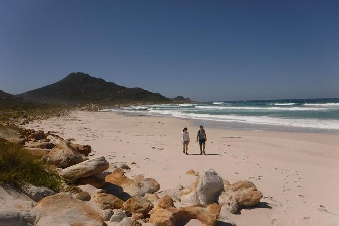 Hiking Cape of Good hope, Cape Point & Penguins Private Full Day - Chapmans Peak Drive and Scarborough