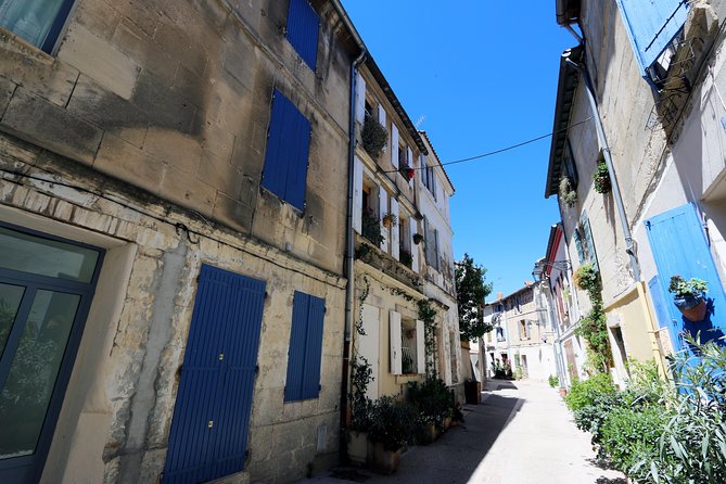 Historic Arles & the beaches and Pink Flamingoes of the Camargue - Who Will Enjoy This Private Provence Day?