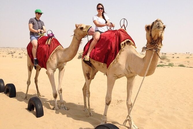 Hot Air Balloon Flight in Dubai with Breakfast, Falconry and Camel Ride - What the 30 to 60 minute flight offers