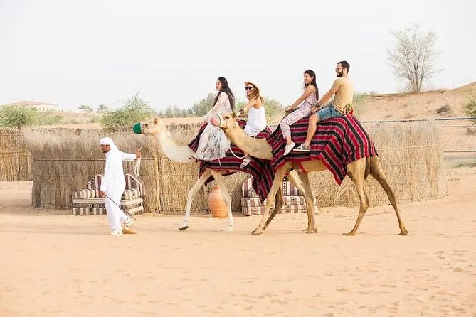 Hot Air Balloon Flight in Dubai with Breakfast, Falconry and Camel Ride - A camel ride after the flight