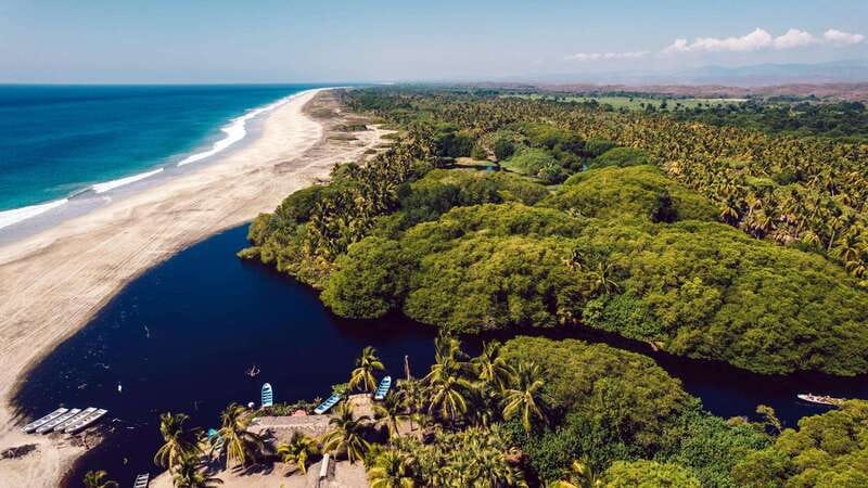 Huatulco: Ecotour with Crocodiles & migrating birds - Ventanilla begins with plants, mangroves, and crocodiles
