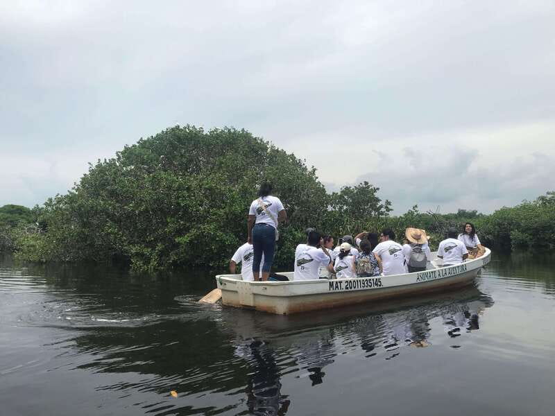 Huatulco: Ecotour with Crocodiles & migrating birds - What the $49 price really covers