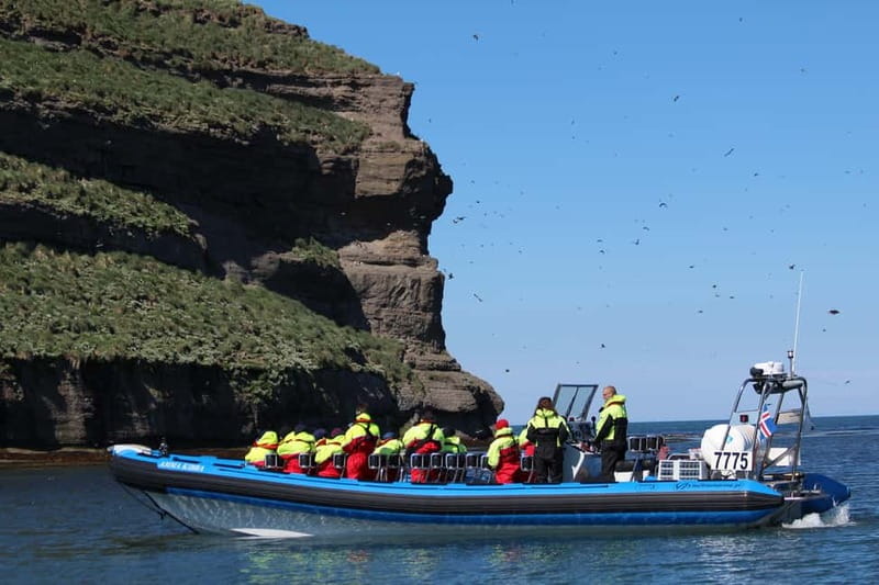 Húsavík: Original Big Whale Safari & Puffins by Speedboat - Is $175 a fair price?
