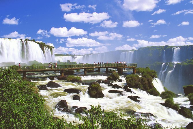 Iguassu Falls Brazilian Side: Macuco Safari, Helicopter Flight and Bird Park - Six things to know before booking