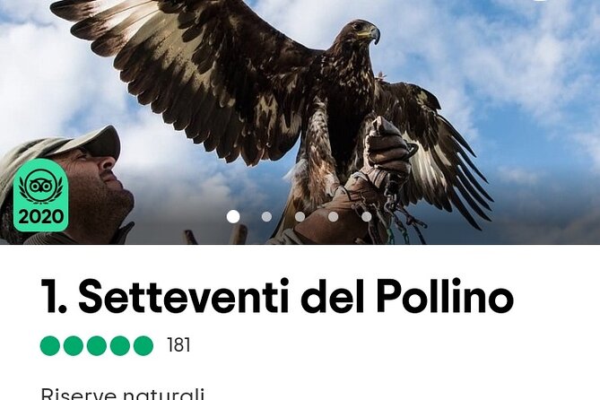 Interactive Educational Course on Birds of Prey - Is $42.34 Good Value?