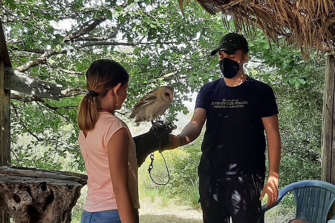 Interactive Educational Course on Birds of Prey - Who Will Enjoy This Experience Most