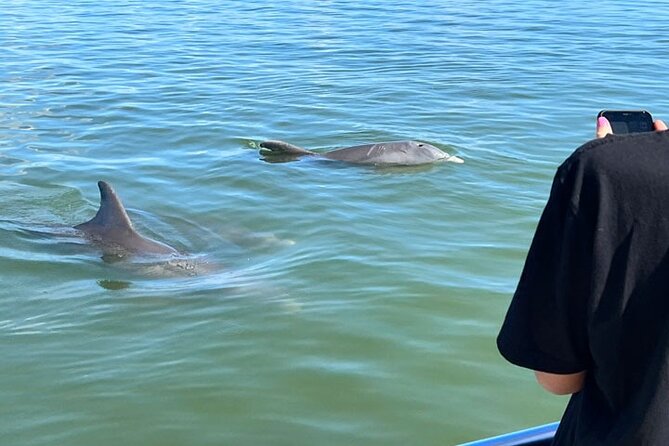 Island Paradise: Dolphin, Shelling, Birding Eco Boat Tour - Setting out from Goodland on Marco Island