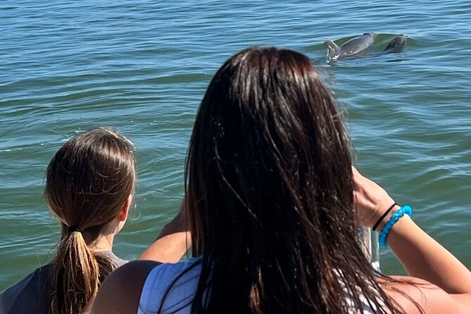 Island Paradise: Dolphin, Shelling, Birding Eco Boat Tour - Dolphins, manatees, alligators, and birds