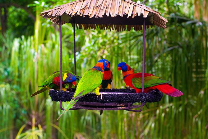 Jurong Bird Park Bird Photography - What this three-hour photography class is really for
