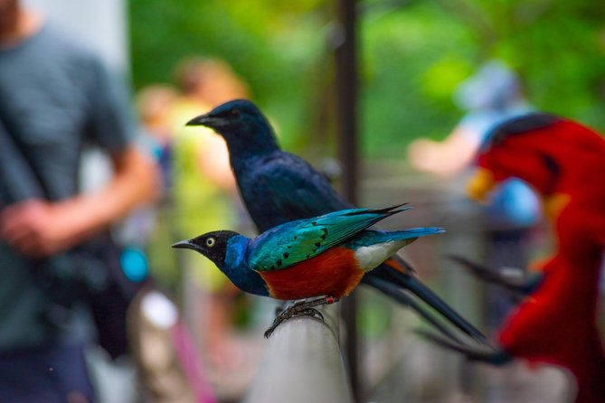 Jurong Bird Park Bird Photography - What you learn during the one-to-one coaching