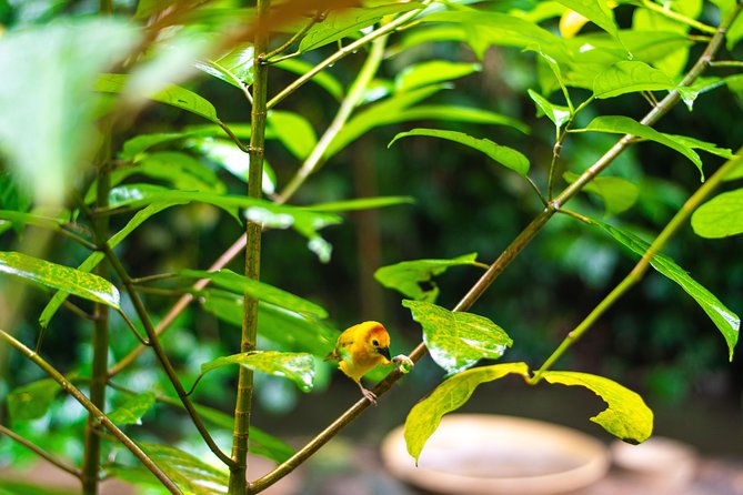 Jurong Bird Park Bird Photography - Is $95 a fair price?