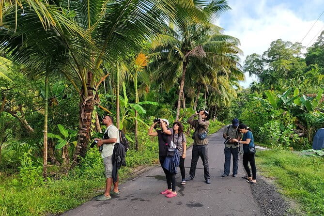 Kalapathar Sunrise, Birdwatching and Village Tour - Key points to know before booking