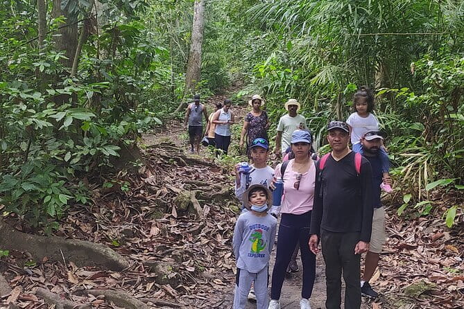 Kalapathar Sunrise, Birdwatching and Village Tour - How much value do you get for $34.04?