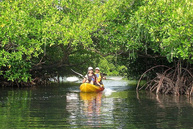 Kalapathar Sunrise, Birdwatching and Village Tour - The practical rhythm of the two-hour outing