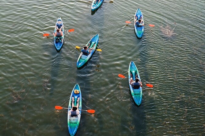 Kayak Rentals on Lady Bird Lake - The first stretch: downtown Austin from water level