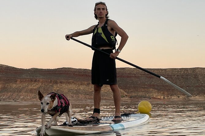 Kayak/SUP Tour: Birds, Beavers, Turtles, maybe even Cliff Jumping - Wildlife along the shoreline