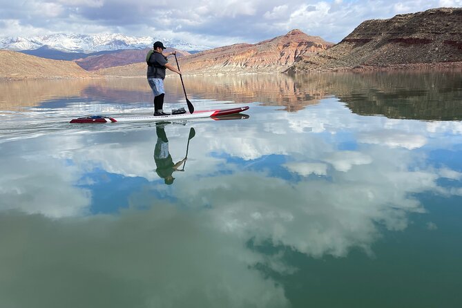 Kayak/SUP Tour: Birds, Beavers, Turtles, maybe even Cliff Jumping - A calm pace with room for play