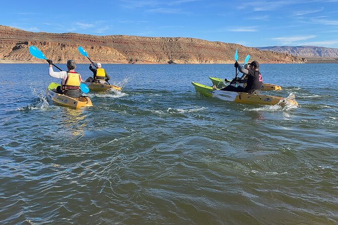 Kayak/SUP Tour: Birds, Beavers, Turtles, maybe even Cliff Jumping - What the three-hour schedule feels like