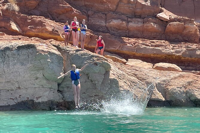 Kayak/SUP Tour: Birds, Beavers, Turtles, maybe even Cliff Jumping - Who will enjoy Quail Creek most?