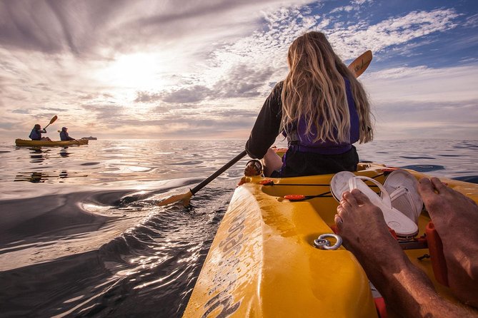 Kayak to the penguins in Simons Town - Safety briefing, PFDs, and a quick paddling lesson