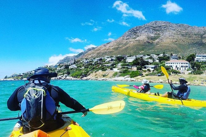 Kayak to the penguins in Simons Town - Windmill Beach, Long Beach, and possible marine life