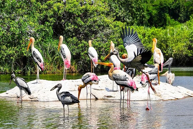 Keoladeo Birds Park Tour From Agra To Jaipur Including Entry - Why this Agra to Jaipur route makes sense